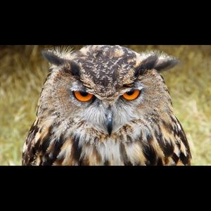 Meet your Posher, Tina.